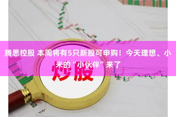 腾思控股 本周将有5只新股可申购！今天理想、小米的“小伙伴”来了
