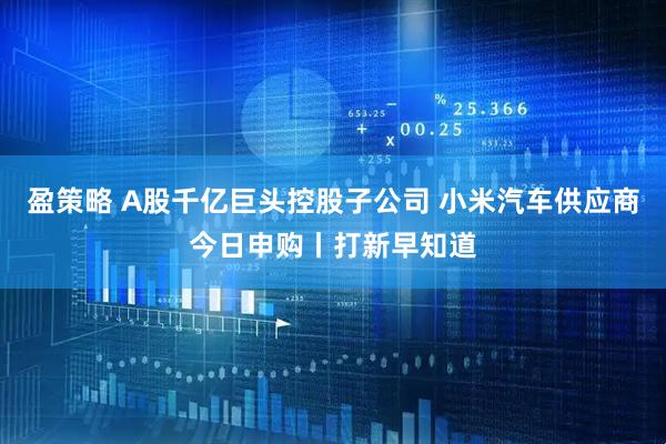 盈策略 A股千亿巨头控股子公司 小米汽车供应商今日申购丨打新早知道