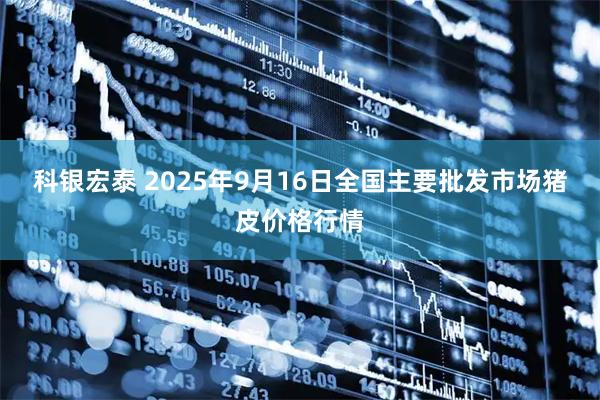 科银宏泰 2025年9月16日全国主要批发市场猪皮价格行情