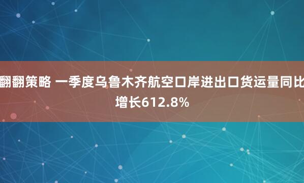 翻翻策略 一季度乌鲁木齐航空口岸进出口货运量同比增长612.8%