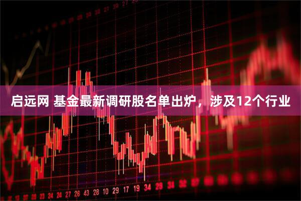 启远网 基金最新调研股名单出炉,涉及12个行业