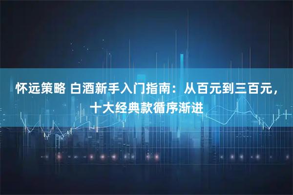 怀远策略 白酒新手入门指南：从百元到三百元，十大经典款循序渐进