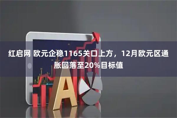 红启网 欧元企稳1165关口上方，12月欧元区通胀回落至20%目标值
